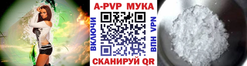 A-PVP СК  Долгопрудный 