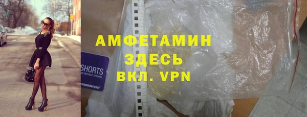 прущие грибы Баксан