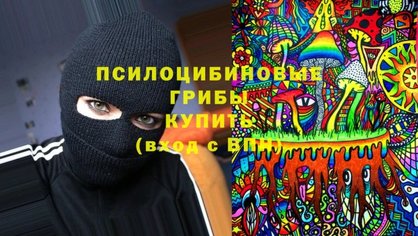 дмт Балахна