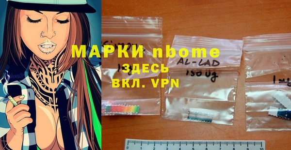 прущие грибы Баксан
