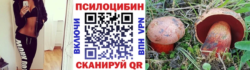 дарнет шоп Долгопрудный Псилоцибиновые грибы GOLDEN TEACHER